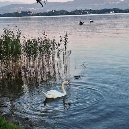Appartement Il Campo Sul 1 Eupilio